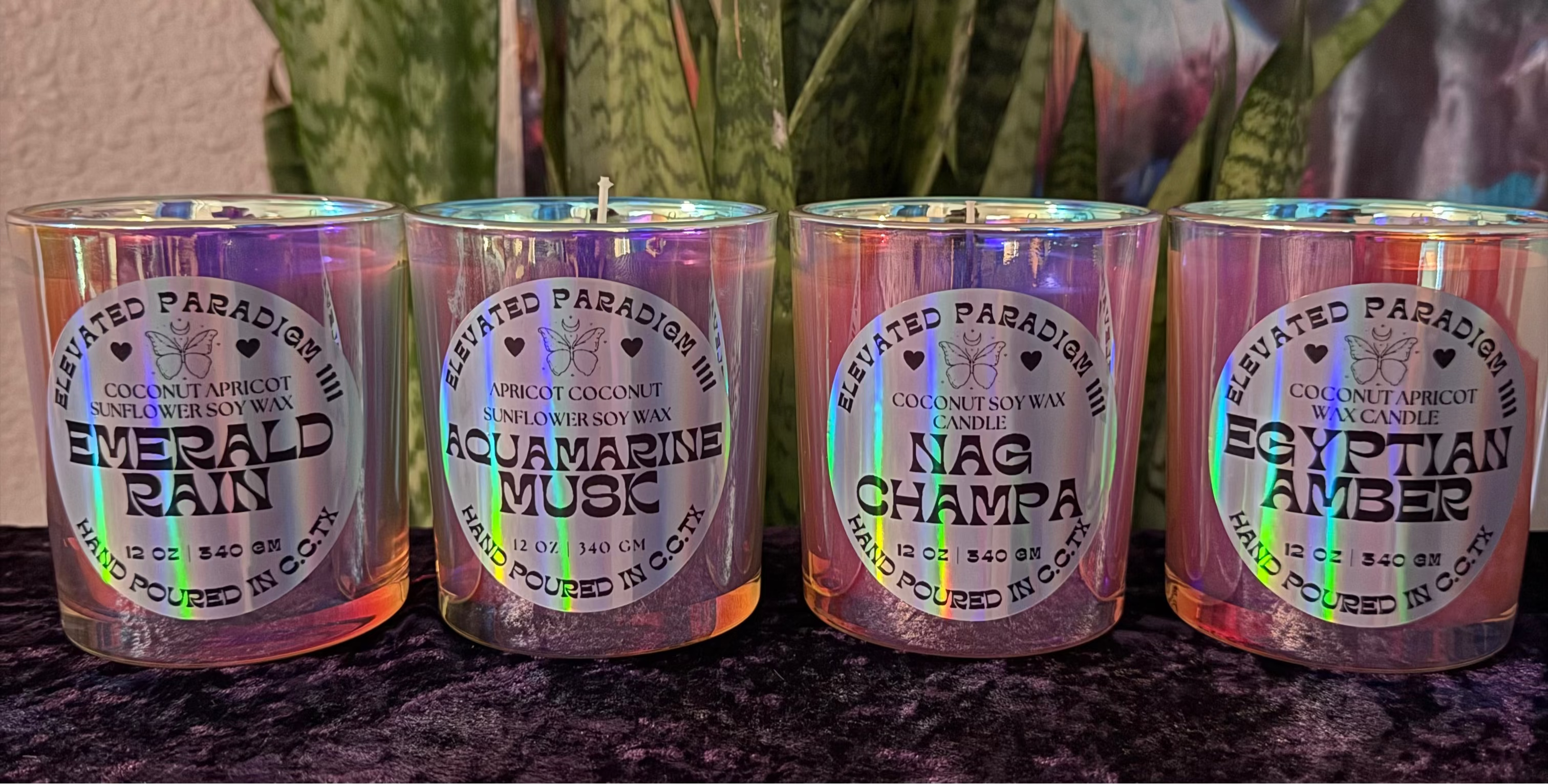 Four candles with labels in front of a plant and abstract painting